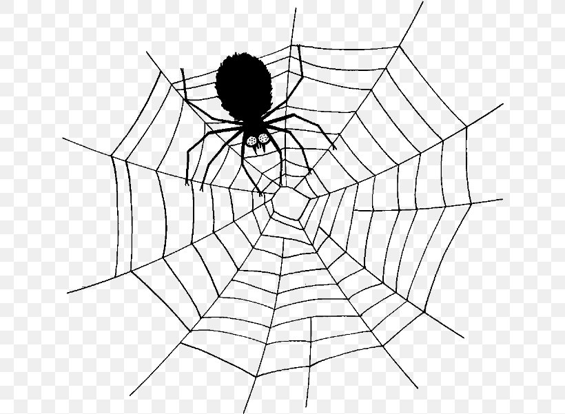 Spider Web Clip Art Vector Graphics, PNG, 642x601px, Spider, Blackandwhite, Drawing, Invertebrate, Line Art Download Free
