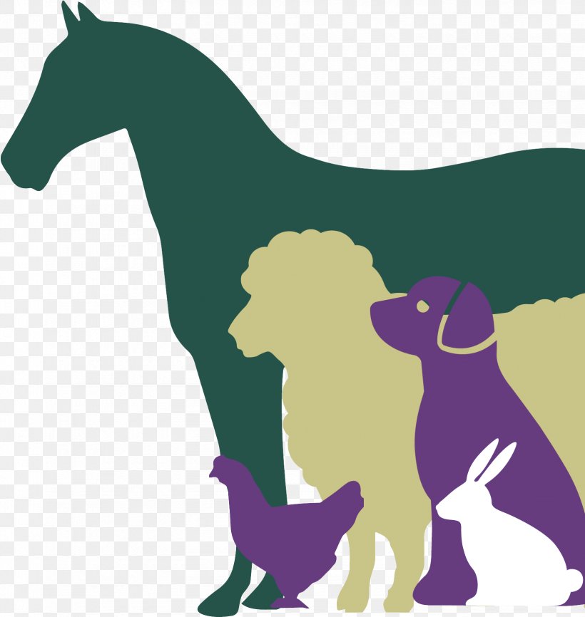 Dog Animal Figure Sporting Group Tail, PNG, 1645x1738px, Dog, Animal Figure, Sporting Group, Tail Download Free
