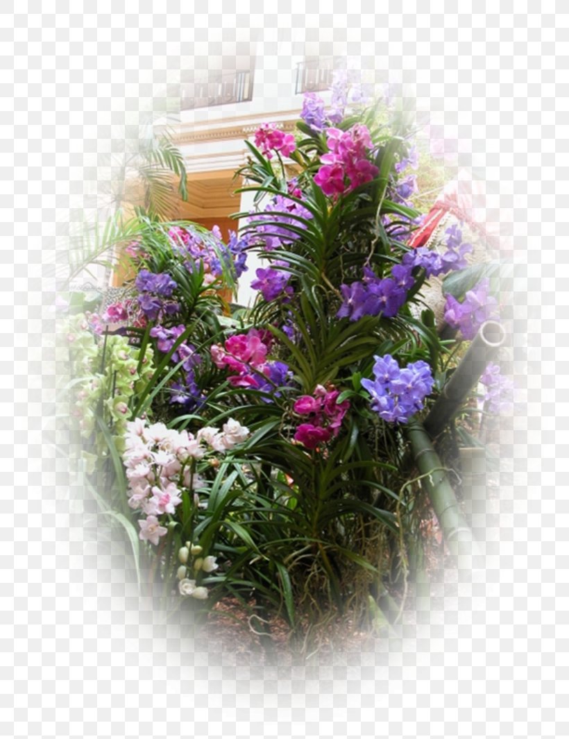 Floral Design Cut Flowers Flower Bouquet Flowerpot, PNG, 800x1065px, Floral Design, Annual Plant, Cut Flowers, Family, Flora Download Free