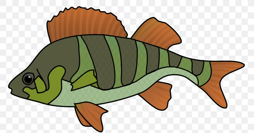 Tropical Fish Clip Art Fried Fish, PNG, 793x430px, Fish, Bass, Canned Fish, Carp, Drawing Download Free