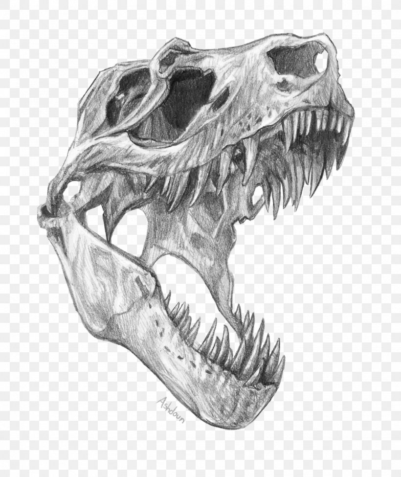 Tyrannosaurus Spinosaurus Velociraptor Triceratops Gorgosaurus, PNG, 1024x1218px, Tyrannosaurus, Automotive Design, Bipedalism, Black And White, Bone Download Free