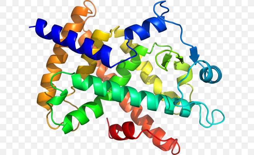 Clip Art Image Download Biomolecule, PNG, 633x500px, Biomolecule, Amino Acid, Biology, Body Jewelry, Cell Download Free