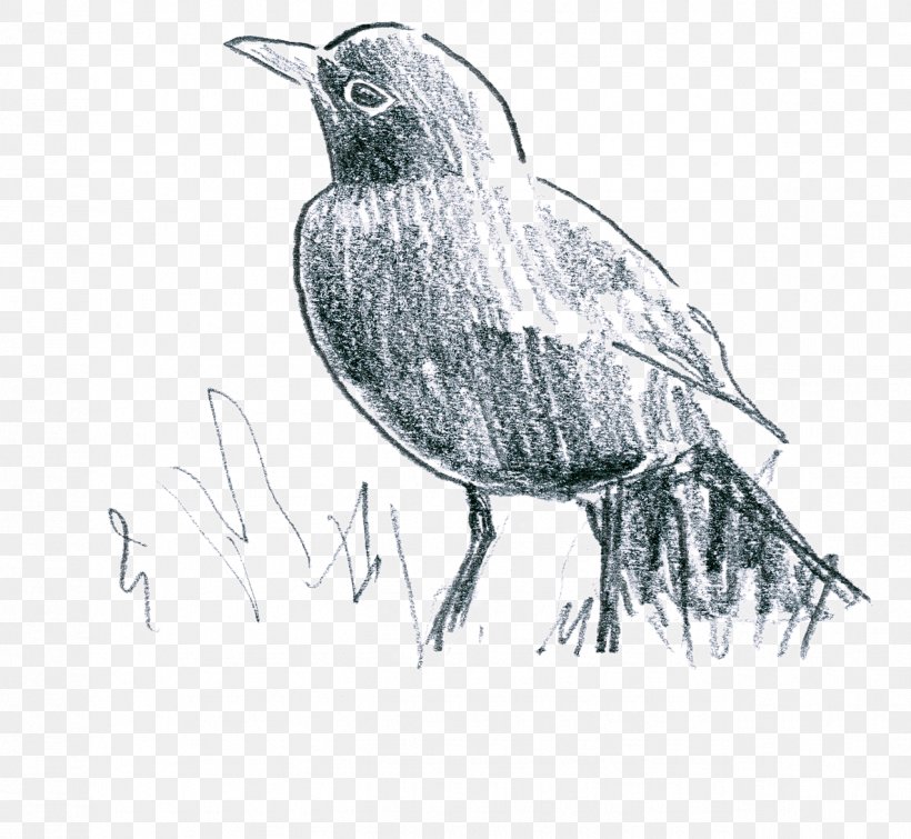 Common Blackbird American Crow Earthworm Le Parfum Des Lilas (Chanson Tzigane), PNG, 1275x1175px, Common Blackbird, American Crow, Artwork, Beak, Bird Download Free