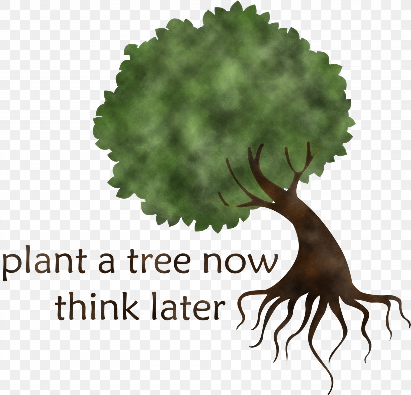 Plant A Tree Now Arbor Day Tree, PNG, 2999x2889px, Arbor Day, Arborist, Branch, Broadleaved Tree, English Oak Download Free