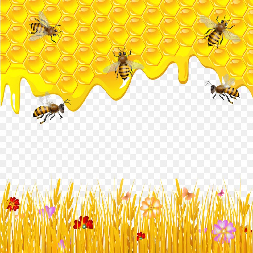 Western Honey Bee Honeycomb Drawing, PNG, 1000x1000px, Western Honey Bee, Arthropod, Bee, Bee Pollen, Comb Honey Download Free