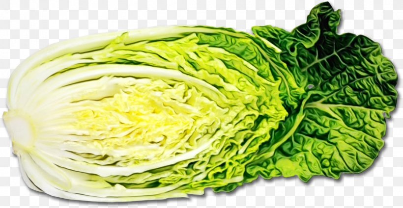 Cabbage Savoy Cabbage Vegetable Iceburg Lettuce Leaf Vegetable, PNG, 1110x575px, Watercolor, Cabbage, Food, Iceburg Lettuce, Leaf Vegetable Download Free