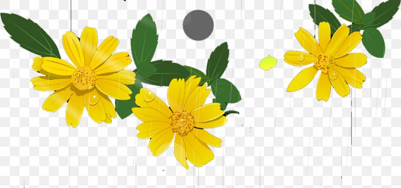 Chrysanthemum Flower Euclidean Vector, PNG, 935x440px, Chrysanthemum, Chrysanths, Daisy, Daisy Family, Element Download Free