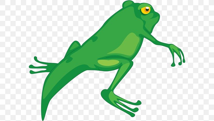 Frog Tadpole Cartoon Clip Art, PNG, 600x463px, Frog, Amphibian, Artwork, Cane Toad, Clip Art Download Free