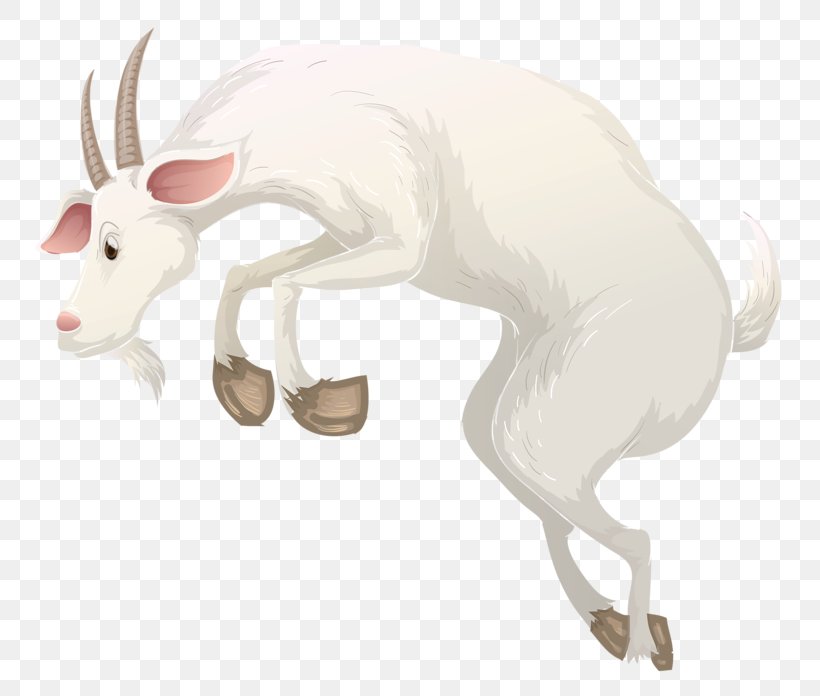 Goat Cattle Alpine Ibex Illustration, PNG, 800x696px, Goat, Alpine Ibex, Carnivoran, Cartoon, Cattle Download Free