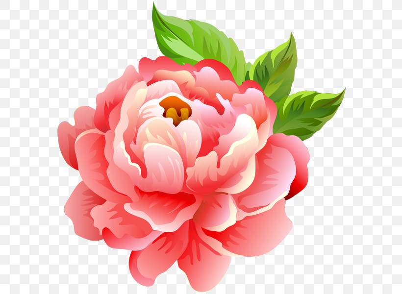 Artificial Flower, PNG, 599x600px, Flower, Artificial Flower, Chinese Peony, Common Peony, Cut Flowers Download Free