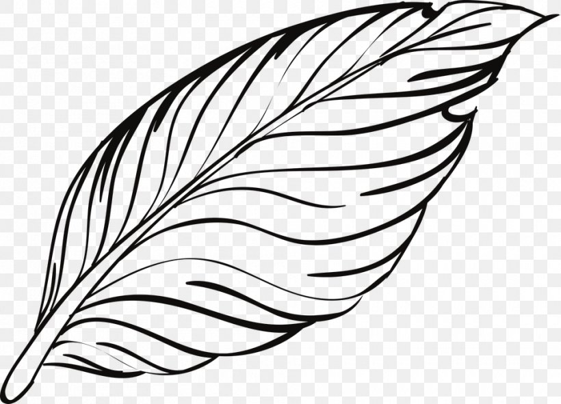 Bird Feather, PNG, 960x692px, Bird, Artwork, Beak, Black, Black And White Download Free