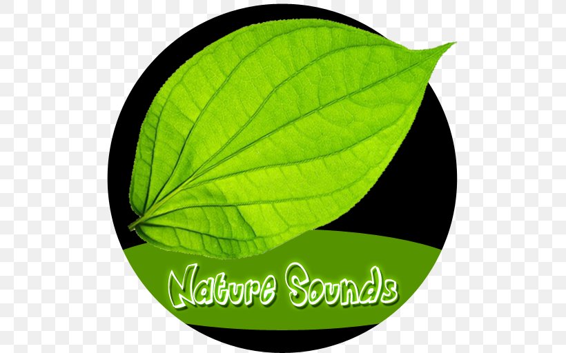 Green Leaf, PNG, 512x512px, Green, Leaf, Plant Download Free