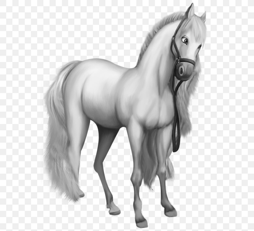 miniature horse clipart