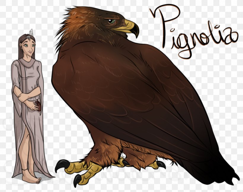 Eagle Owl Hawk Beak, PNG, 1006x794px, Eagle, Accipitriformes, Beak, Bird, Bird Of Prey Download Free