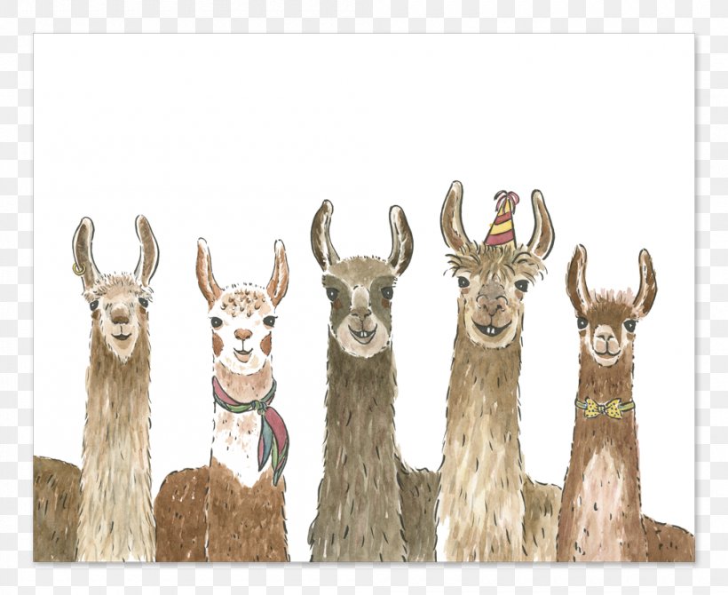 Llama Alpaca Wedding Invitation Greeting & Note Cards Birthday, PNG, 1000x818px, Llama, Alpaca, Antler, Baby Shower, Birthday Download Free