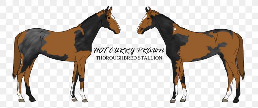 Mustang Holsteiner Foal American Quarter Horse Stock Photography, PNG, 1561x653px, Mustang, American Quarter Horse, Animal Figure, Bit, Bridle Download Free