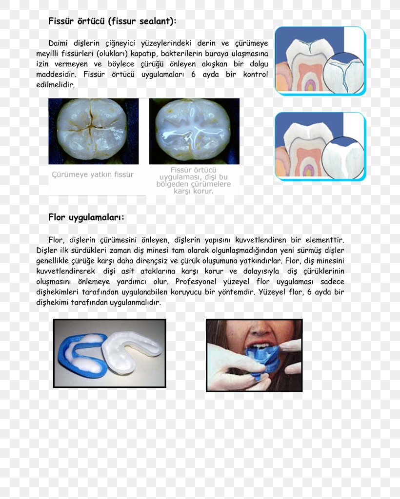 Nose Brochure, PNG, 683x1024px, Nose, Brochure, Fluoride, Jaw, Joint Download Free