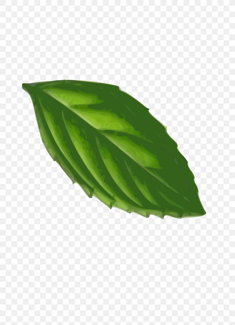 Peppermint Leaf Clip Art, PNG, 800x1131px, Peppermint, Green, Herb, Leaf, Mint Download Free