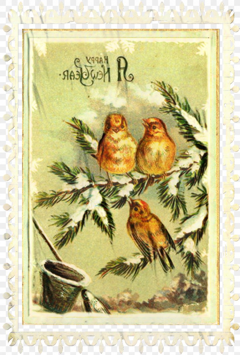 Postage Stamp, PNG, 851x1256px, Finches, Beak, Bird, Creativity, Finch Download Free