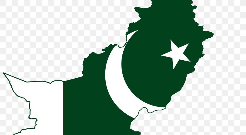United States India Culture Of Pakistan Pakistan Day Flag Of Pakistan, PNG, 800x450px, United States, Culture Of Pakistan, Flag Of Pakistan, Flowering Plant, Grass Download Free