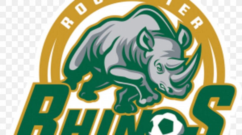 Capelli Sport Stadium Rochester Rhinos Lamar Hunt U.S. Open Cup Saint Louis FC 2016 USL Season, PNG, 986x552px, Capelli Sport Stadium, Bethlehem Steel Fc, Brand, Charlotte Independence, Fictional Character Download Free