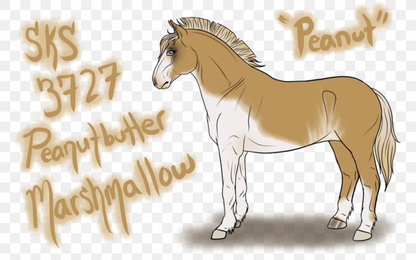 Foal Stallion Mustang Mare Pony, PNG, 1024x641px, Foal, Animal, Bridle, Colt, Donkey Download Free