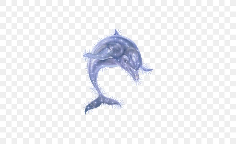 Oceanic Dolphin, PNG, 500x500px, Dolphin, Animal, Animation, Blog, Computer Graphics Download Free