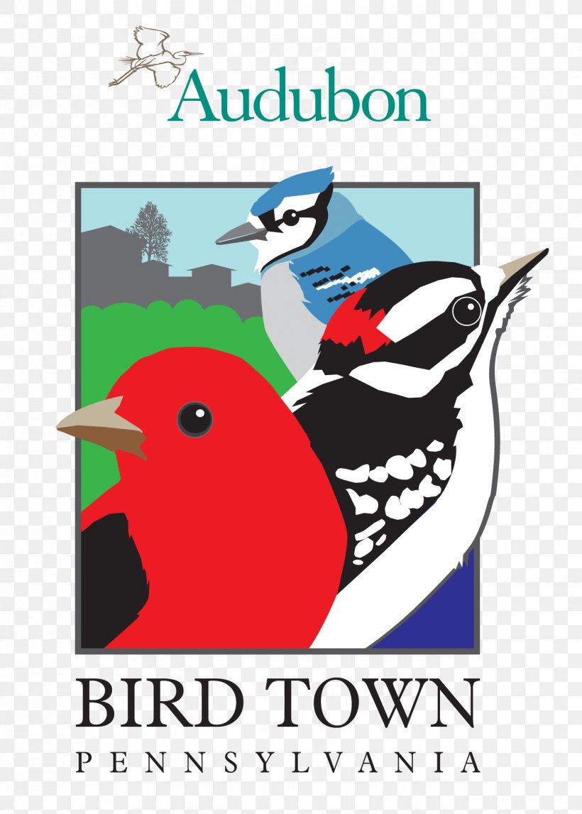 Bird Doylestown Cheltenham Township Mill Grove National Audubon Society, PNG, 1340x1873px, Bird, Advertising, Art, Artwork, Audubon Pennsylvania Download Free
