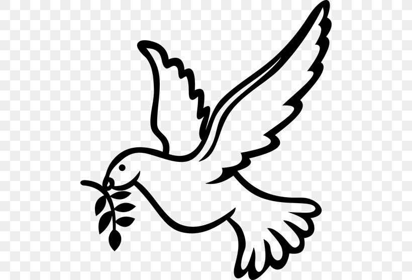 Confirmation In The Catholic Church Visual Arts Columbidae Clip Art, PNG, 500x557px, Confirmation In The Catholic Church, Art, Artwork, Beak, Bird Download Free