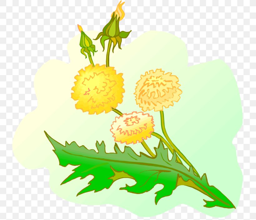 Floral Design Dandelion Clip Art, PNG, 750x703px, Floral Design, Art, Artwork, Chrysanths, Dahlia Download Free