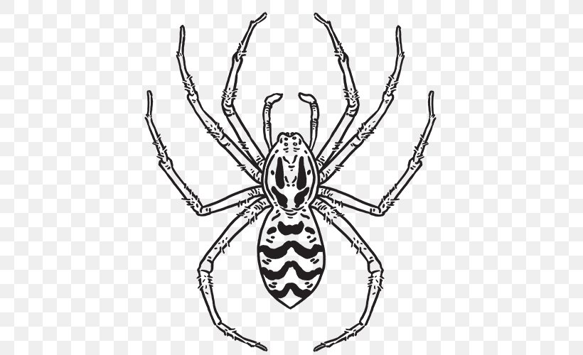 Hobo Spider Orb-weaver Spiders Spider Web Common House Spider, PNG, 500x500px, Spider, Arachnid, Arthropod, Artwork, Black And White Download Free