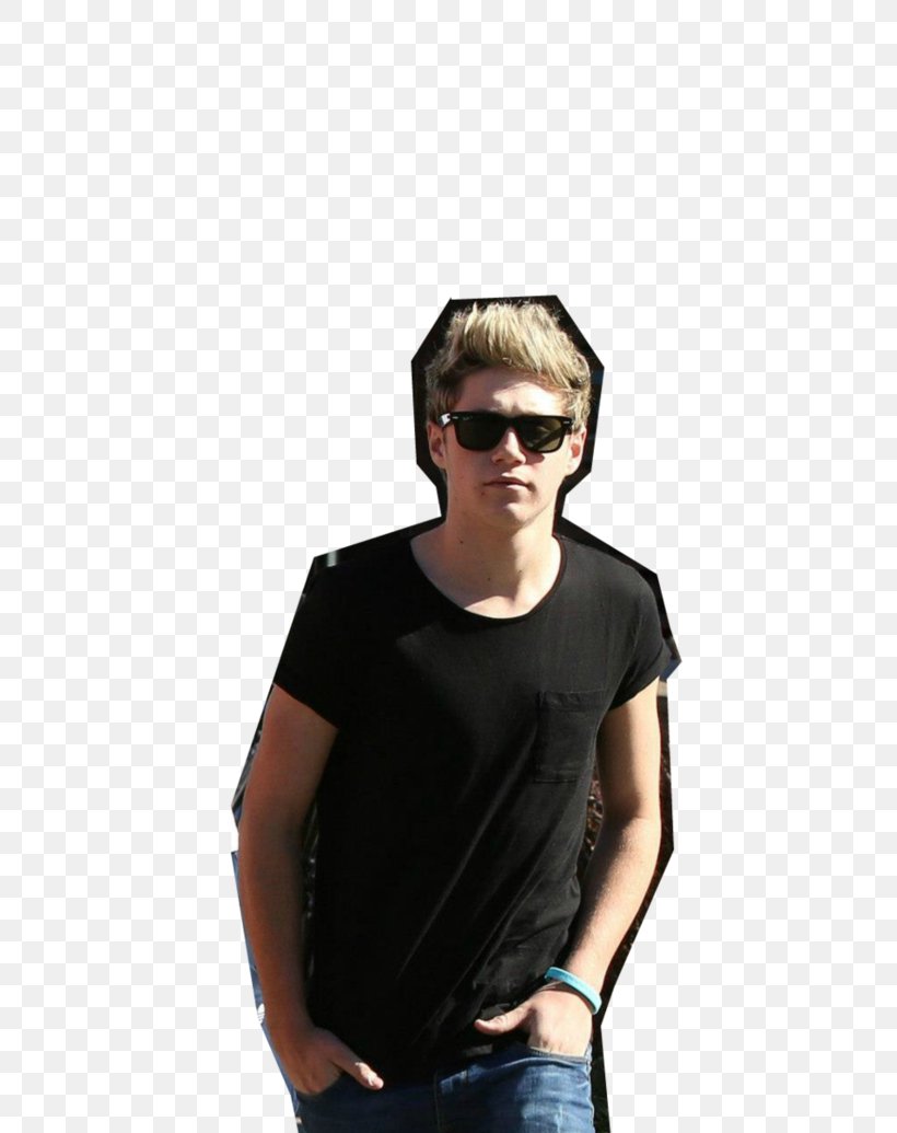 Niall Horan One Direction Mullingar, PNG, 772x1035px, Watercolor, Cartoon, Flower, Frame, Heart Download Free