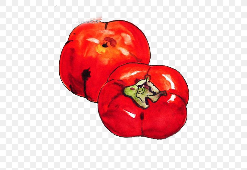 Tomato Persimmon Download, PNG, 600x566px, Tomato, Apple, Food, Fruit, Local Food Download Free