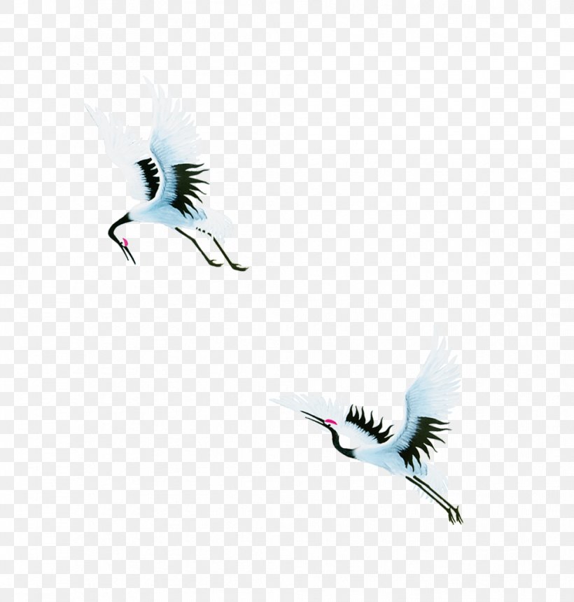 Bird Crane Swan Goose, PNG, 991x1040px, Bird, Beak, Crane, Fauna, Feather Download Free