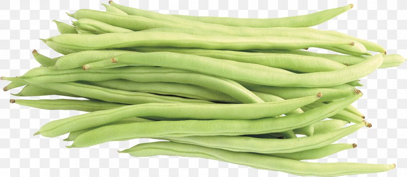 Common Bean Lima Bean Vegetable Green Bean, PNG, 2743x1199px, Common Bean, Bean, Commodity, Food, Green Bean Download Free