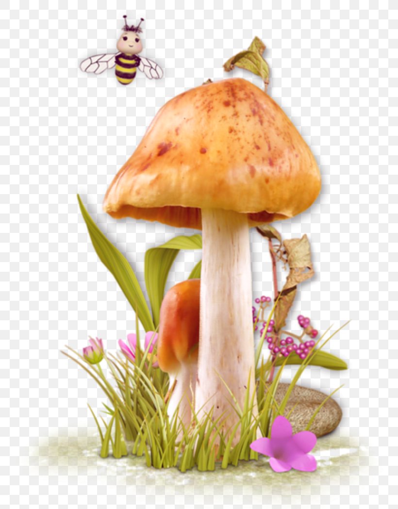 Edible Mushroom Fungus Clip Art, PNG, 800x1049px, Mushroom, Animaatio, Edible Mushroom, Flower, Fungus Download Free