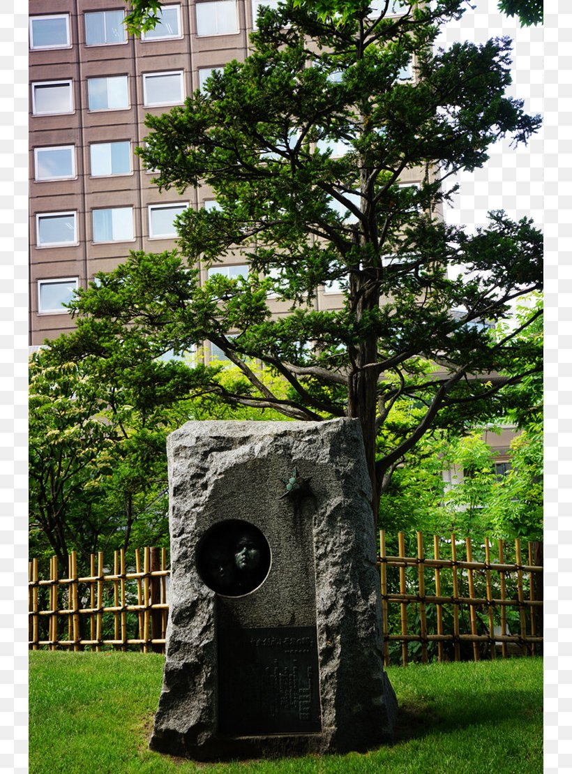 Odori Park Photography, PNG, 738x1109px, Odori Park, Evergreen, Fukei, Grass, Hokkaido Download Free