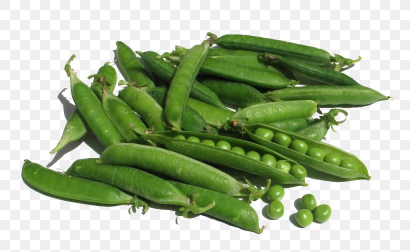 Organic Food Snow Pea Snap Pea Vegetable, PNG, 1024x630px, Organic Food, Bean, Broad Bean, Commodity, Flavor Download Free
