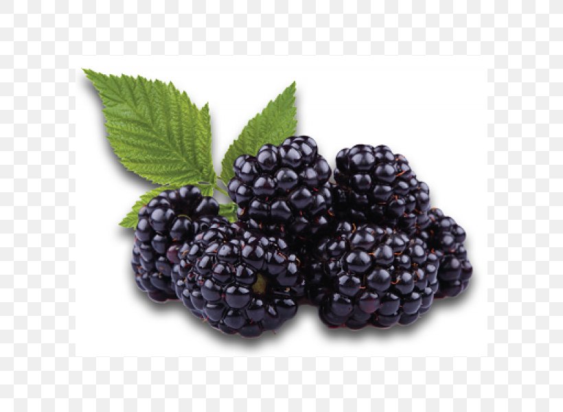 Blackberry Boysenberry Flavor Fruit Electronic Cigarette Aerosol And Liquid, PNG, 600x600px, Blackberry, Berry, Bilberry, Black Mulberry, Blueberry Download Free