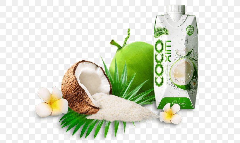 Coconut Milk Betrimex Coconut Water Coconut Oil, PNG, 621x490px, Coconut Milk, Charcoal, Coconut, Coconut Oil, Coconut Water Download Free