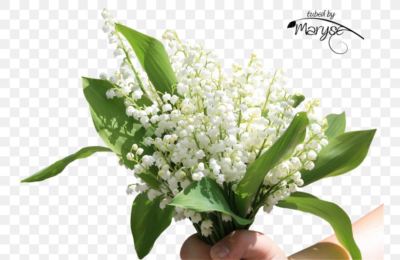 Flower Bouquet Lily Of The Valley Floral Design Cut Flowers, PNG, 755x532px, Flower, Blog, Cut Flowers, Floral Design, Floristry Download Free