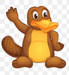 Perry The Platypus png download - 1138*630 - Free Transparent