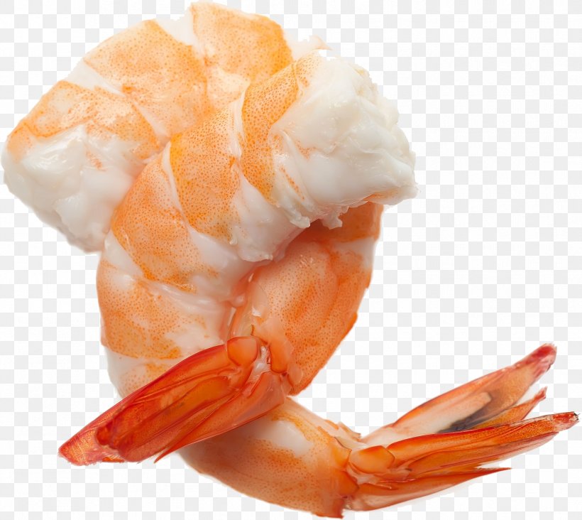 Clip Art Shrimp Image Transparency, PNG, 1882x1681px, Shrimp, Animal Source Foods, Caridean Shrimp, Dendrobranchiata, Orange Download Free