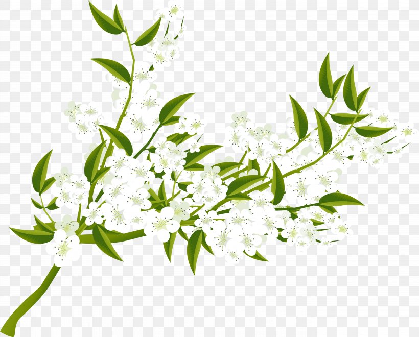 Flower Painting Art Clip Art, PNG, 5510x4440px, Flower, Art, Blossom, Branch, Data Compression Download Free