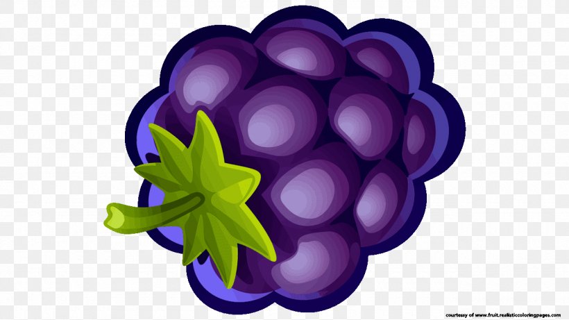 Fruit Blueberry Grape Clip Art, PNG, 1280x720px, Fruit, Blackcurrant, Blueberry, Bramble, Durian Download Free