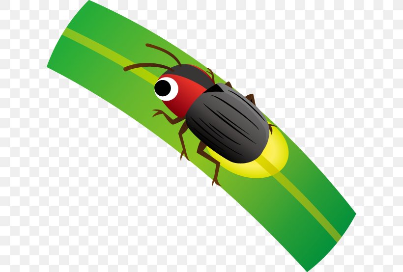 Insect Illustration Clip Art Firefly Product Design, PNG, 630x554px, Insect, Firefly, Invertebrate, Paper Clip, Pop Music Download Free