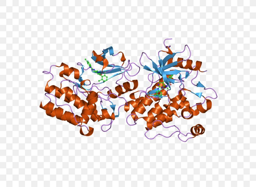 ABL2 Gene Product BCR, PNG, 800x600px, Abl, Art, Bcr, Gene, Information Download Free