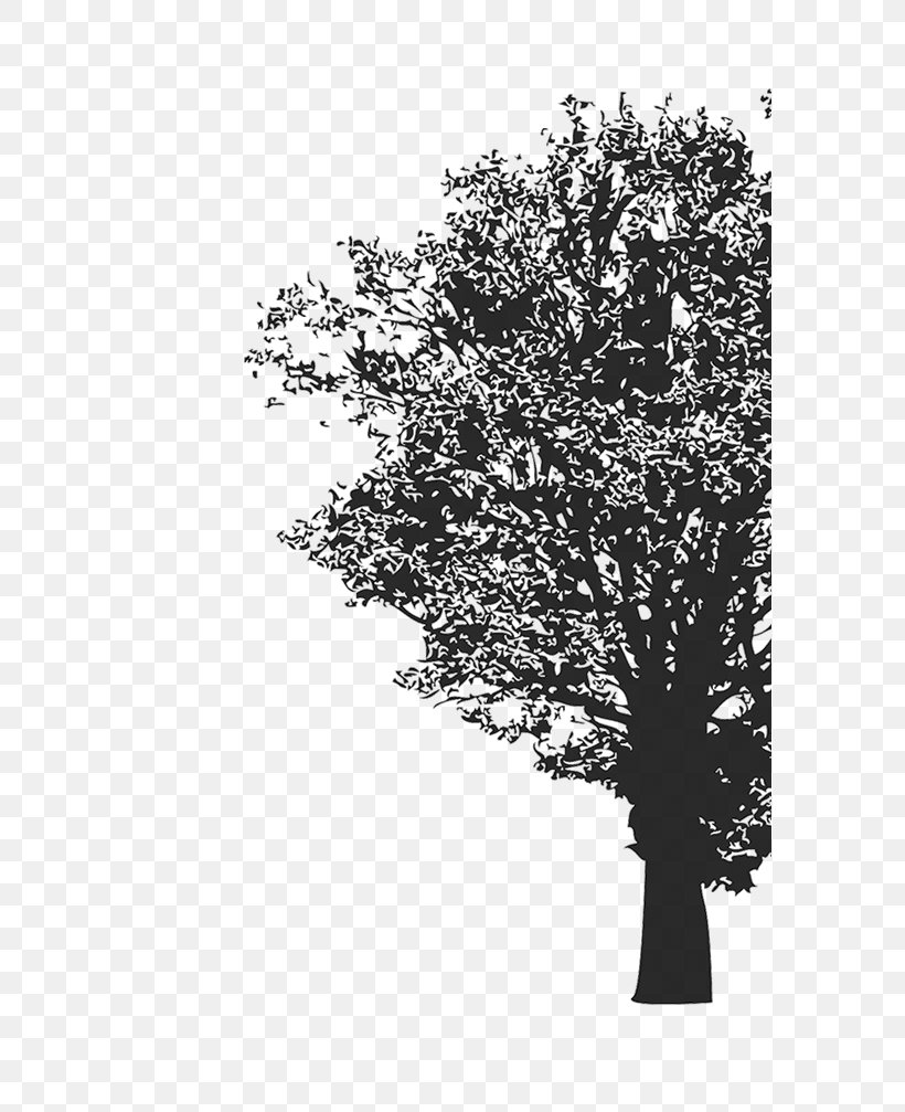 Alpaca Twig Tree Clip Art, PNG, 579x1007px, Alpaca, Agriculture, Alpaca Fiber, Arboriculture, Black And White Download Free