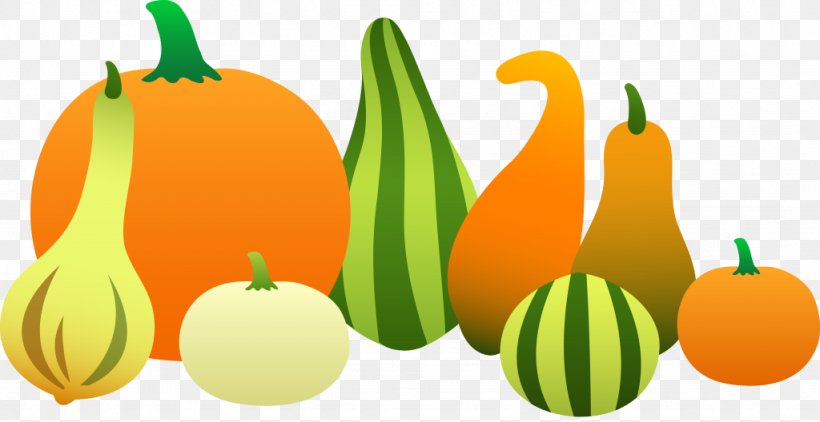 Gourd Pumpkin Vegetable Clip Art, PNG, 1024x528px, Gourd, Art, Autumn, Calabash, Calabaza Download Free