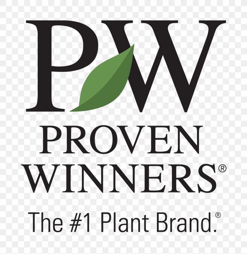 Annuals & Perennials Garden Proven Winners Perennial Plant, PNG, 1116x1146px, Annuals Perennials, Annual Plant, Area, Brand, Calibrachoa Download Free